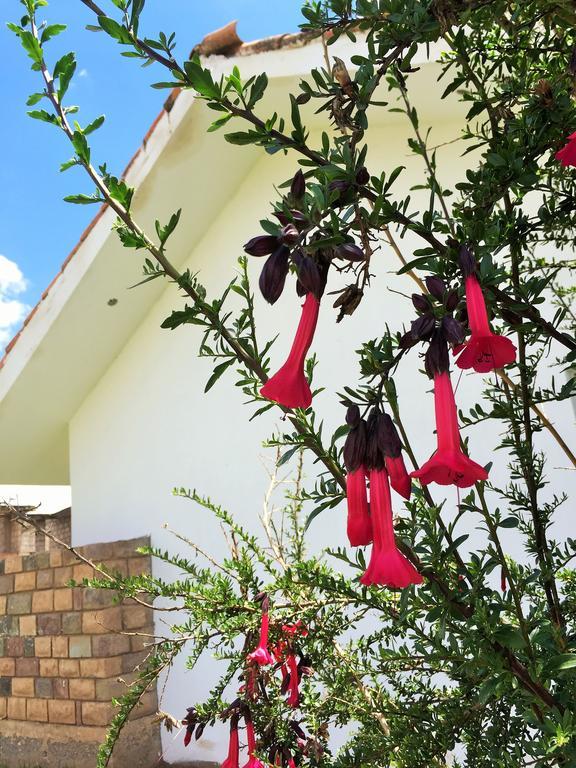 Hotel De Turistas La Villa Sicuani Exteriör bild